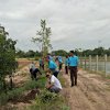 โครงการ 